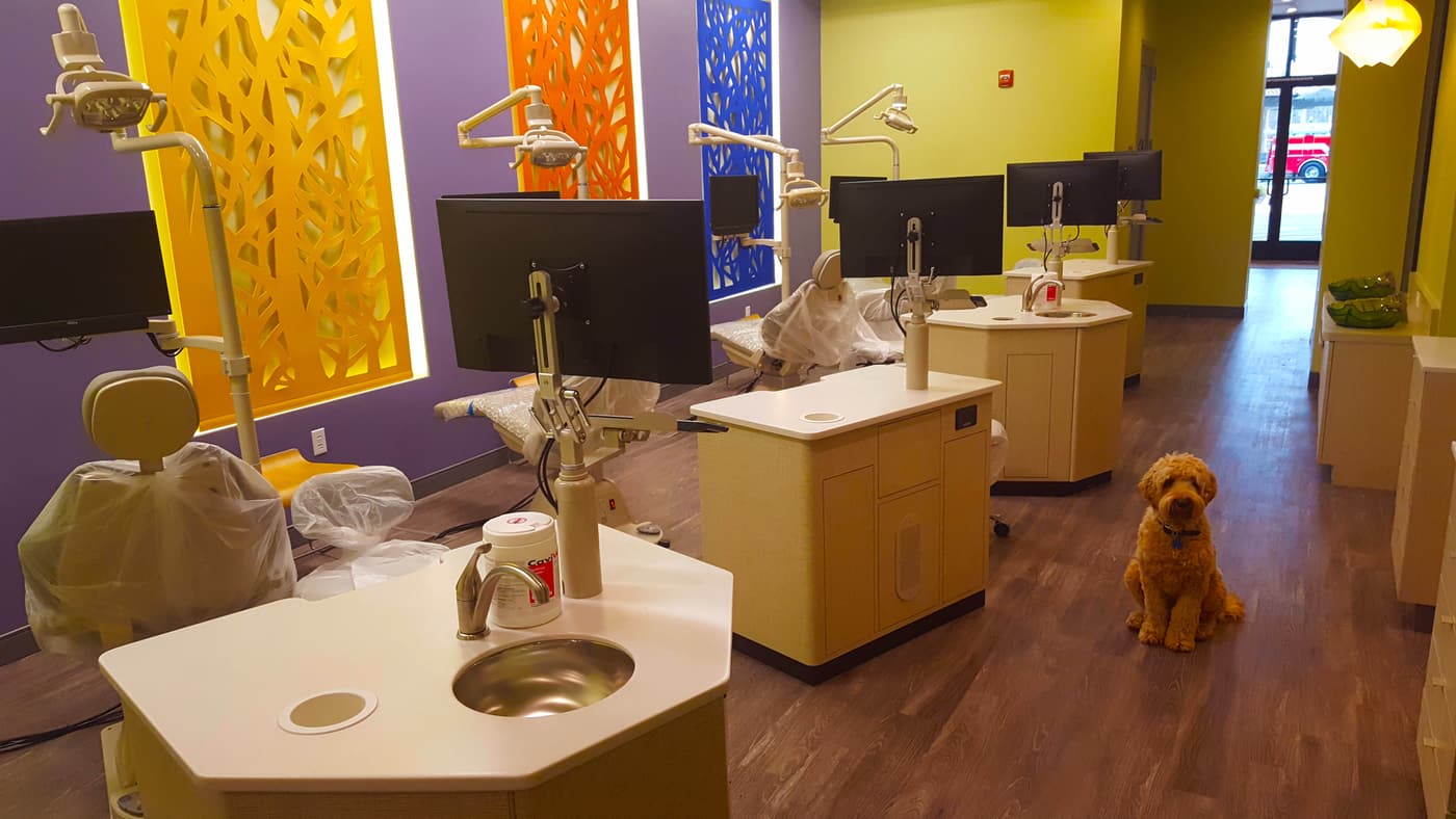 Treatment bays at the Payne Orthodontics Windsor office